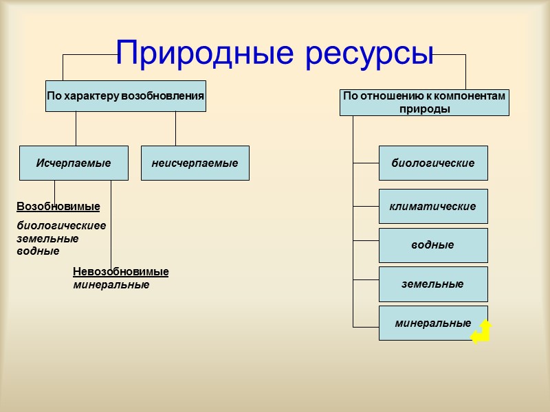 Природные ресурсы По характеру возобновления По отношению к компонентам природы Исчерпаемые неисчерпаемые Возобновимые Природные ресурсы По характеру возобновления По отношению к компонентам природы Исчерпаемые неисчерпаемые Возобновимые